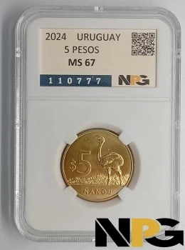 2024 Uruguay 5 Pesos 2024 Uruguay 5 Pesos
