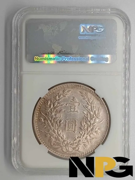 1921 China Republic 1 Dollar 1 - China Republic