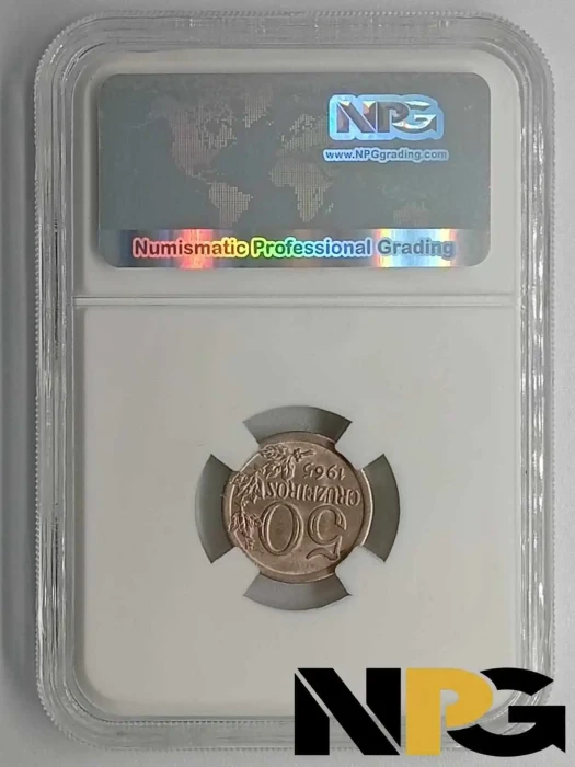 1965 Brazil 50 Cruzeiros -  1 - Brazil