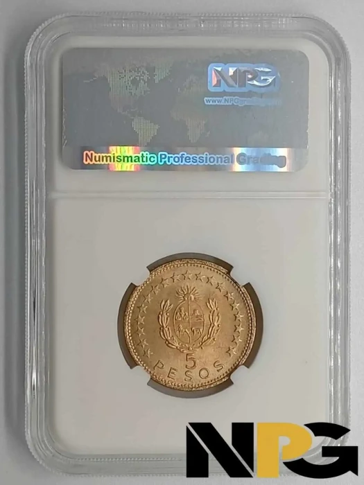 1965so Uruguay 5 Pesos 1 - Uruguay