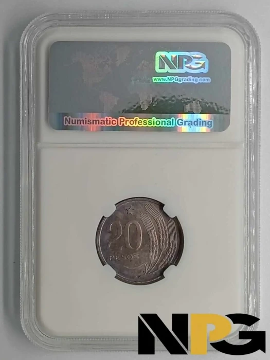 1968 Uruguay 20 Pesos Pnc84 1 - Uruguay