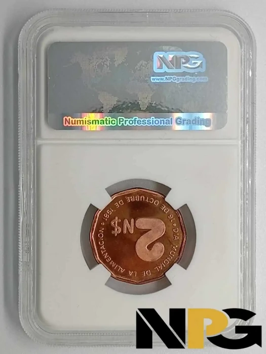1981 Uruguay Ns 2 1 - Uruguay
