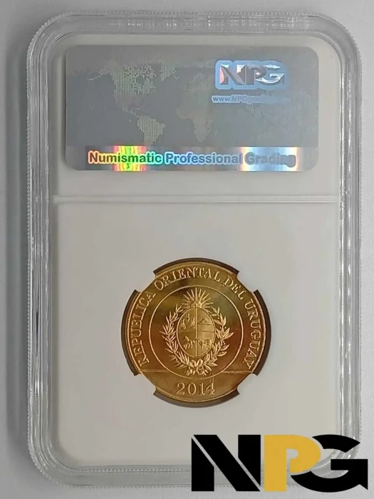 2014 Uruguay 5 Pesos -  1 - Uruguay